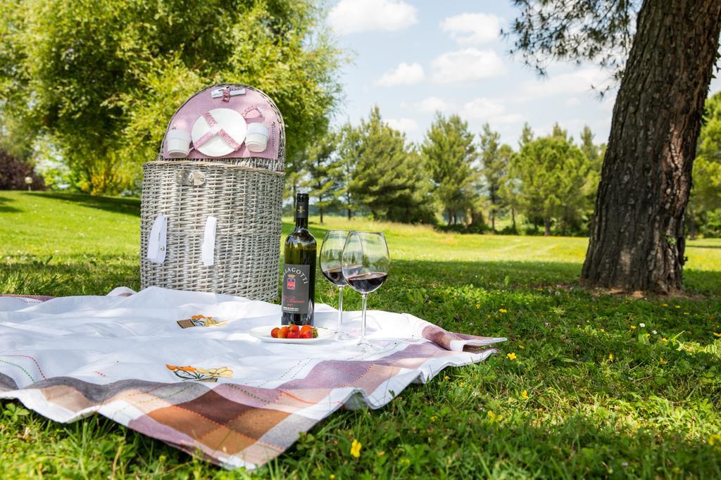 Agriturismo Colleverde Selvatelle Eksteriør bilde