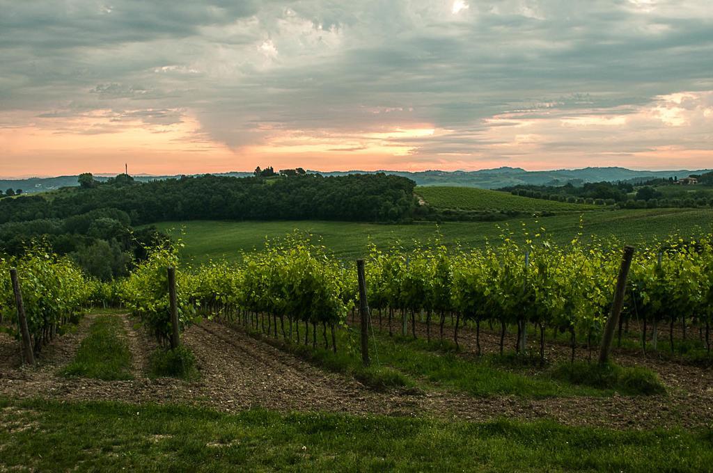 Agriturismo Colleverde Selvatelle Eksteriør bilde