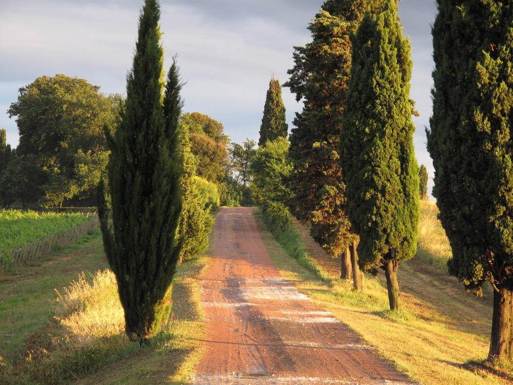 Agriturismo Colleverde Selvatelle Eksteriør bilde