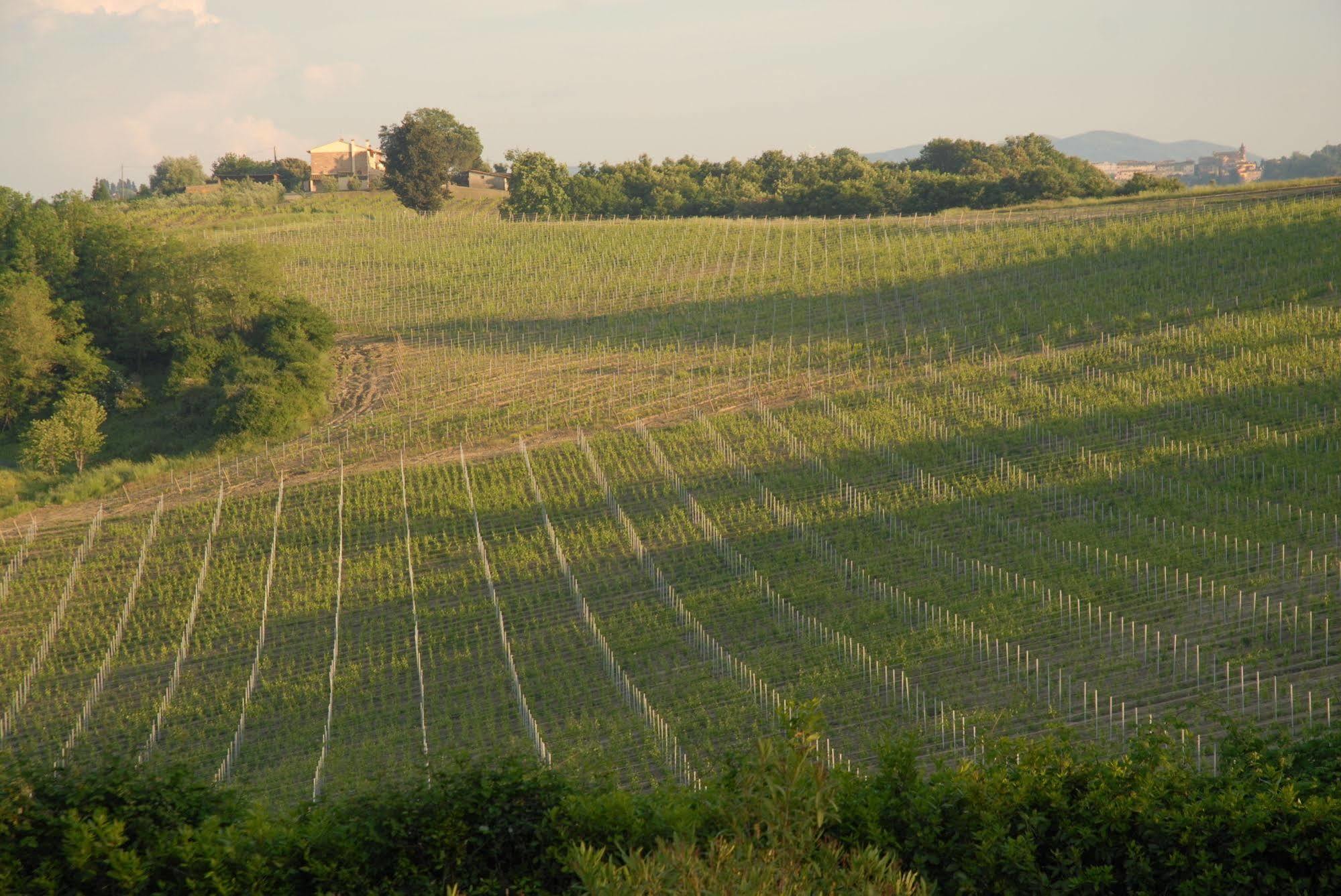 Agriturismo Colleverde Selvatelle Eksteriør bilde
